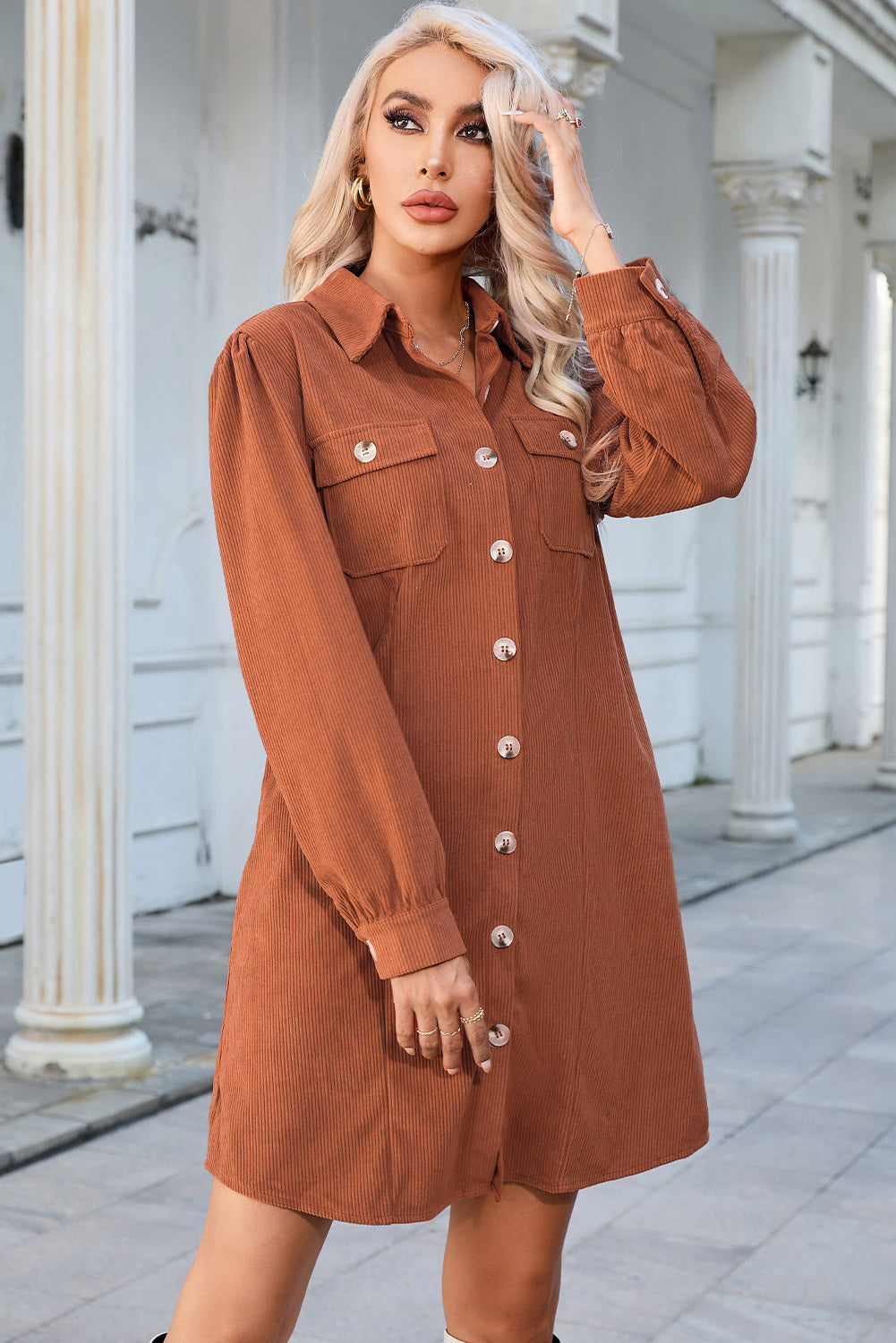 Aura Stylo - Button Down Puff Sleeve Dress